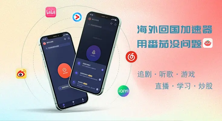 回国内的vpn示例